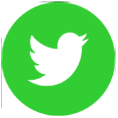 Twitter Icon green