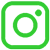 instagram icon green